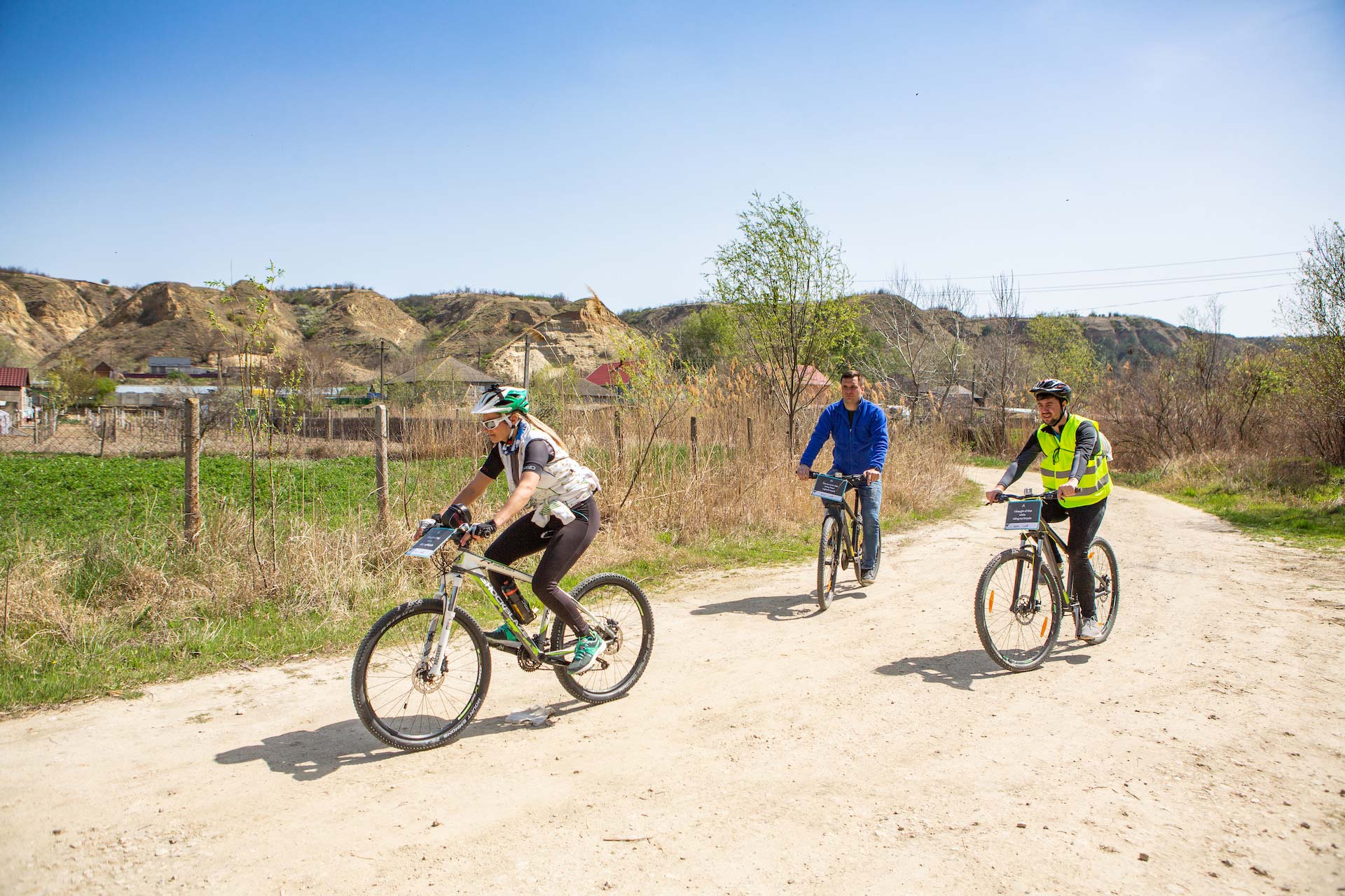 Detaliu arhitectural — consola si vegetatie la Villa Serenity