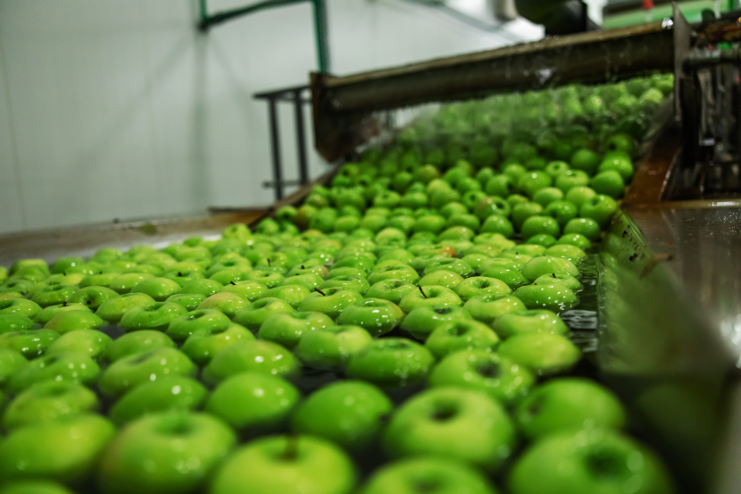 Legume proaspete de la producatorii locali din Orhei