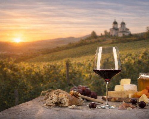 Degustare de vin cu vedere spre vii